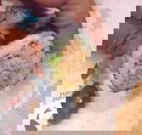 Sebastian's Food  Wine - Accommodation Batemans Bay