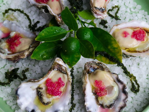 Bella Char Restaurant + Wine Bar - Accommodation Batemans Bay 0
