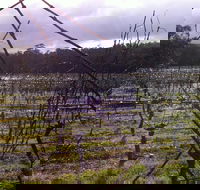 Darlington Vineyard - Accommodation Batemans Bay