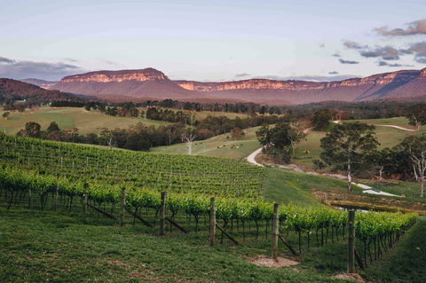 Dryridge Estate - Accommodation Batemans Bay 0