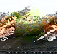 Pasfields Restaurant  Bar Deck - Accommodation Batemans Bay