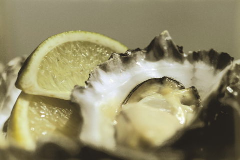Pearly Oyster Bar And Farm - Accommodation Batemans Bay 0