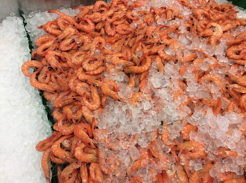 Pearly Oyster Bar And Farm - Accommodation Batemans Bay 1