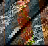 Yorokobi - Accommodation Batemans Bay