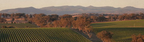 Angullong Cellar Door - Accommodation Batemans Bay 1