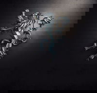 PJ O'Reilly's Irish Pub - Accommodation Batemans Bay