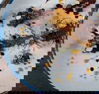 The Kettle  Tin - Accommodation Batemans Bay