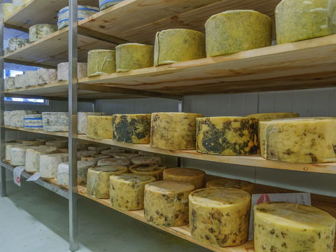 The Wicked Cheese Company - Accommodation Batemans Bay 2