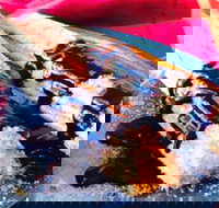 Donut King - Greensborough - Accommodation Batemans Bay