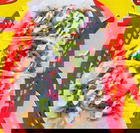 Muchacha - Narrabeen - Accommodation Batemans Bay