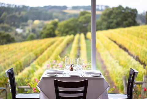 Paringa Estate Winery And Restaurant - Accommodation Batemans Bay 0