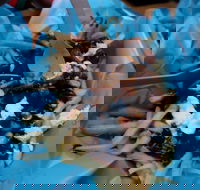 Hampton Wine Co - Accommodation Batemans Bay