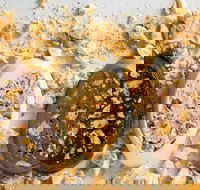 New Farm Confectionery - Chermside - Accommodation Batemans Bay