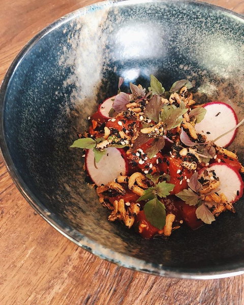 Leaves And Fishes - Accommodation Batemans Bay 2