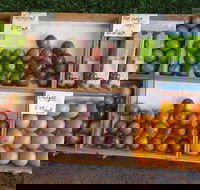 Melonhead - Accommodation Batemans Bay