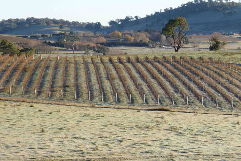 Patina Wines - Accommodation Batemans Bay 0