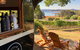 Posh Plonk Winery - thumb 1
