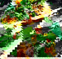 The Local Shed Cafe - Accommodation Batemans Bay