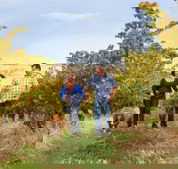WayWood Wines - Accommodation Batemans Bay