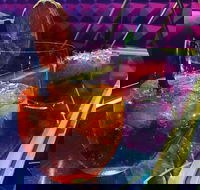 Flippers - Accommodation Batemans Bay