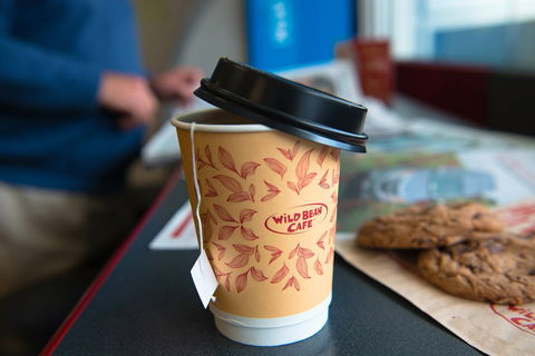 Wild Bean Cafe - Camperdown - Accommodation Batemans Bay 0