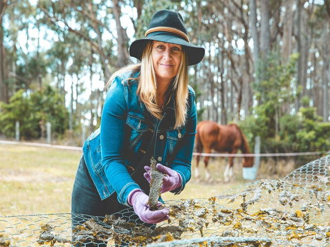 MbK For Life - Mystery Bay Kelp - Accommodation Batemans Bay 0