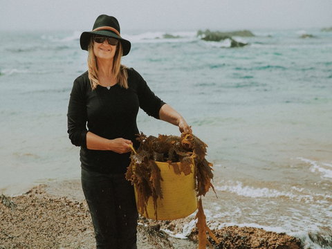 MbK For Life - Mystery Bay Kelp - Accommodation Batemans Bay 2