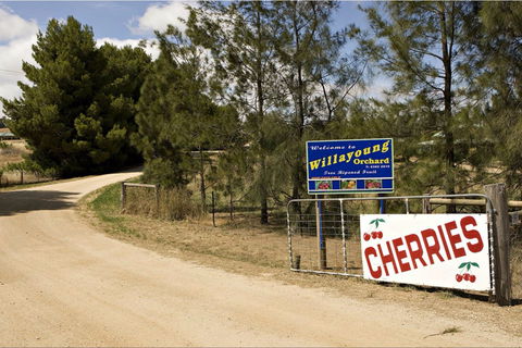 Willayoung Orchard - Accommodation Batemans Bay 1