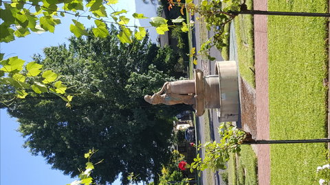 Michelini Wines - Accommodation Batemans Bay 1