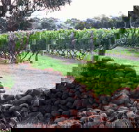 Spring Vale Vineyard - Accommodation Batemans Bay