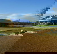 Thomson Brook Wines - Accommodation Batemans Bay