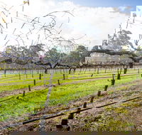 Long Point Vineyard and Art Gallery - Accommodation Batemans Bay