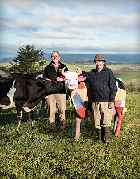 Ashgrove Farm Cheese - Accommodation Batemans Bay 1