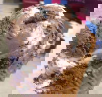 Bear With Me - Accommodation Batemans Bay