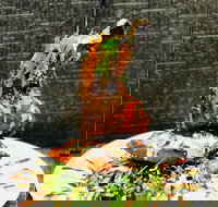 Cafe Bear and Scoobs - Accommodation Batemans Bay