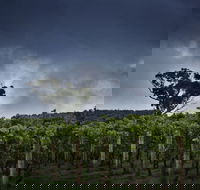 Dalrymple Vineyards - Accommodation Batemans Bay