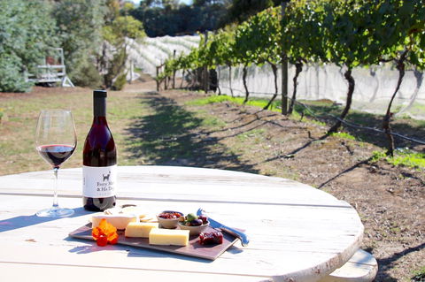 Every Man And His Dog Vineyard - Accommodation Batemans Bay 1