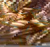 Fish Food with a Difference - Accommodation Batemans Bay