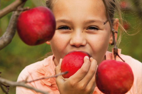 Suttons Juice Factory And Cidery - Accommodation Batemans Bay 2