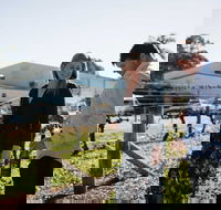 Warrabilla Wines - Accommodation Batemans Bay