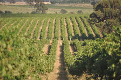 John Gehrig Wines Rutherglen - Accommodation Batemans Bay 2