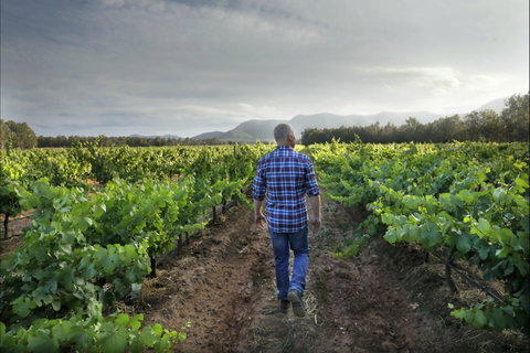 Thomas Wines - Accommodation Batemans Bay 2