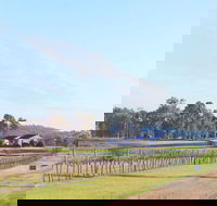 Blacklea Vineyard and Olive Grove - Accommodation Batemans Bay