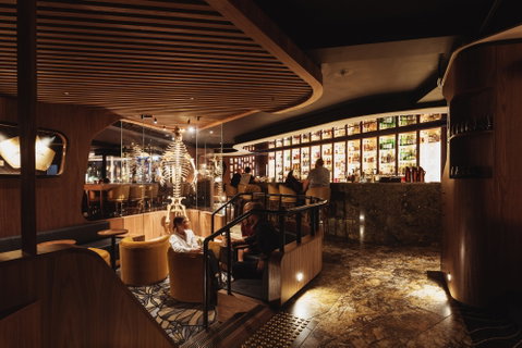 Evolve Spirits Bar - Accommodation Batemans Bay 0