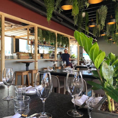 Ficus - Accommodation Batemans Bay 0