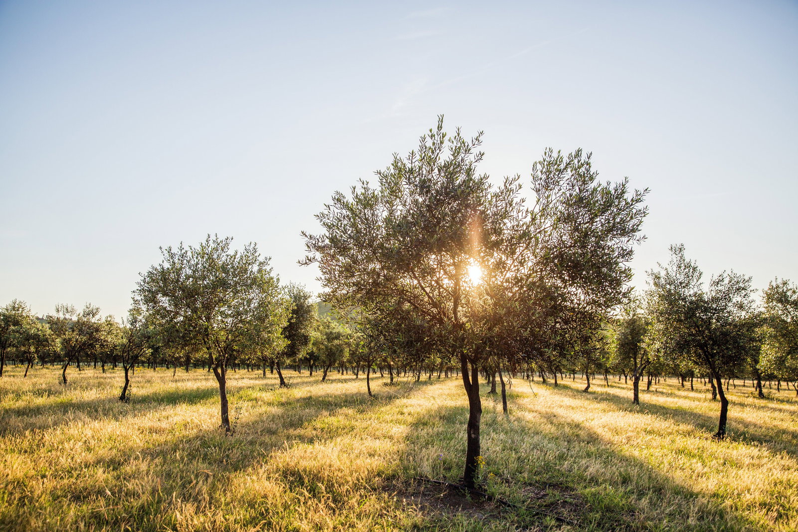 Grattai NSW Accommodation Batemans Bay