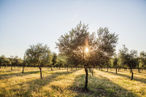 Guneemooroo Estate - Accommodation Batemans Bay 0