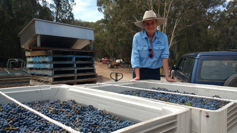 Guneemooroo Estate - Accommodation Batemans Bay 1