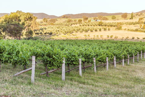 Guneemooroo Estate - Accommodation Batemans Bay 2