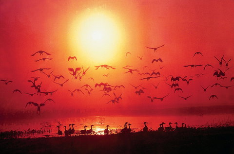 Karma Cafe And Fitness - Accommodation Batemans Bay 0